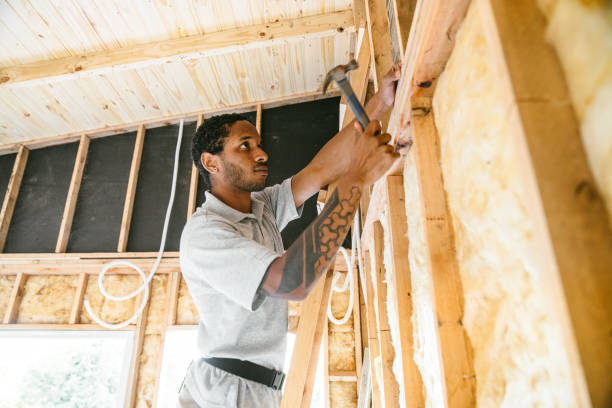 Best Insulation Removal  in Wellsville, KS