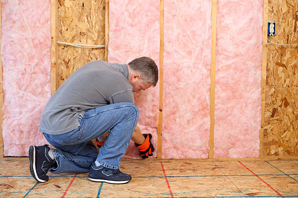 Best Spray Foam Insulation  in Wellsville, KS