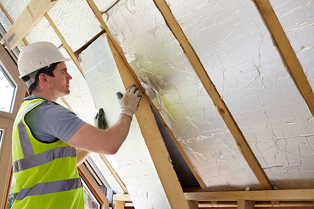 Best Insulation Removal Services  in Wellsville, KS