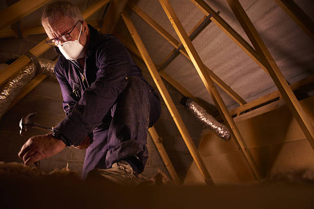 Best Insulation Contractor Near Me  in Wellsville, KS